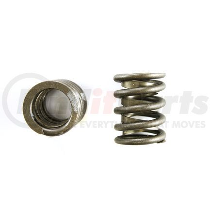 8100124 by PIONEER - Valve Spring