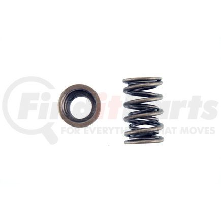 8102044 by PIONEER - Valve Spring