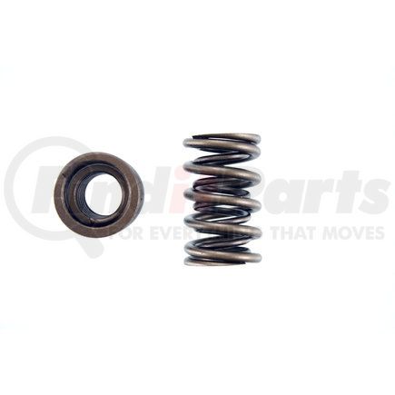 8102024 by PIONEER - Valve Spring