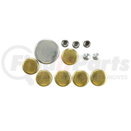 830005 by PIONEER - Engine Expansion Plug Kit