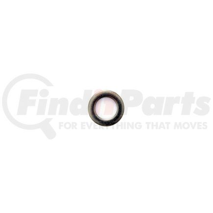 85210510 by PIONEER - S/S Flat Washer