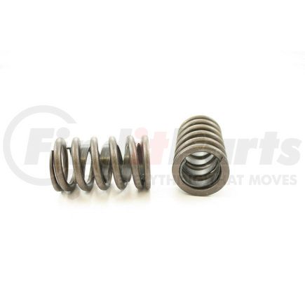 RV1003X100 by PIONEER - VALVE SPRING