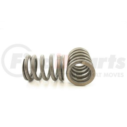 RV1007100 by PIONEER - VALVE SPRING