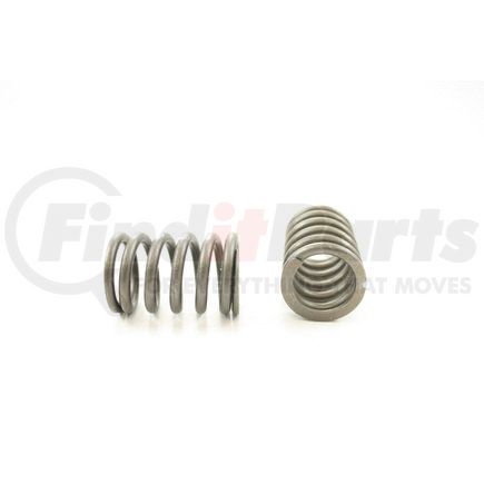 RV10114 by PIONEER - VALVE SPRING