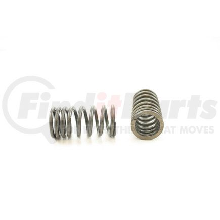 RV10084 by PIONEER - VALVE SPRING