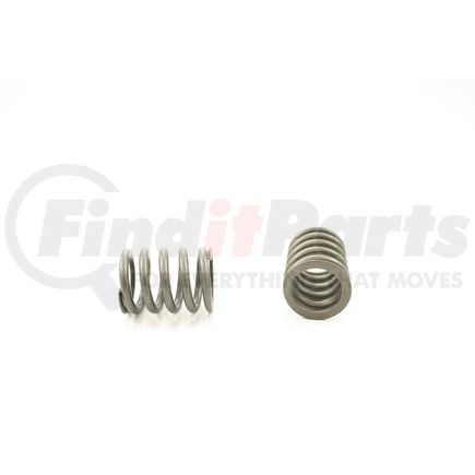 RV10154 by PIONEER - VALVE SPRING