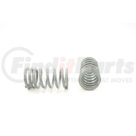 RV1036100 by PIONEER - VALVE SPRING