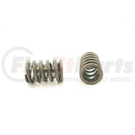 RV1038X4 by PIONEER - VALVE SPRING