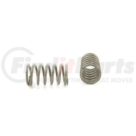 RV1047100 by PIONEER - VALVE SPRING