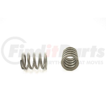 RV1050100 by PIONEER - VALVE SPRING