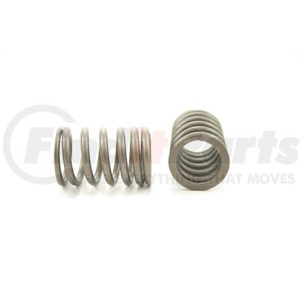 RV10484 by PIONEER - VALVE SPRING