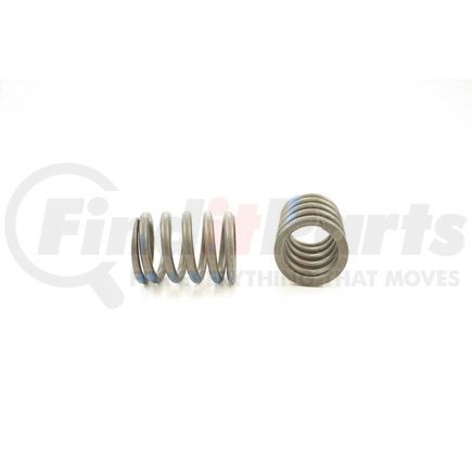 RV1056100 by PIONEER - VALVE SPRING