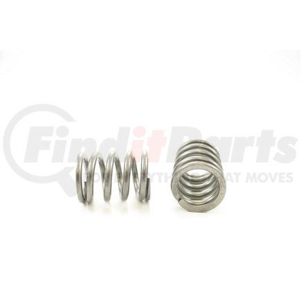 RV1058100 by PIONEER - VALVE SPRING