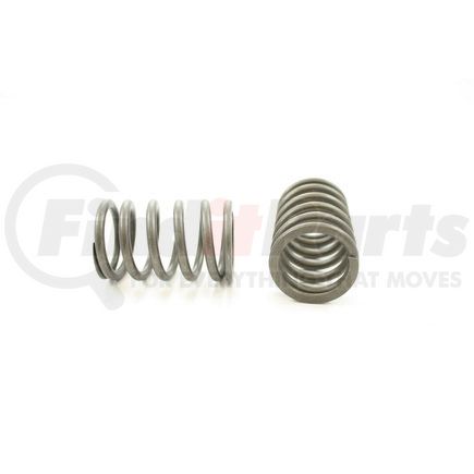 RV10664 by PIONEER - VALVE SPRING