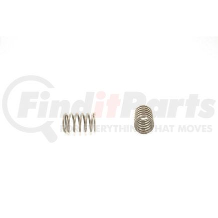 RV10694 by PIONEER - VALVE SPRING