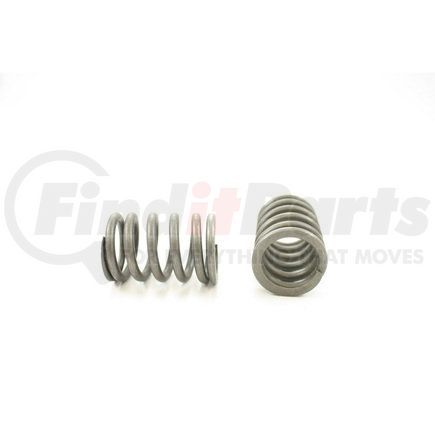 RV10704 by PIONEER - VALVE SPRING