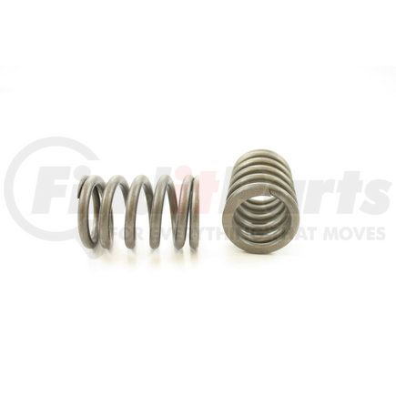 RV1105100 by PIONEER - VALVE SPRING