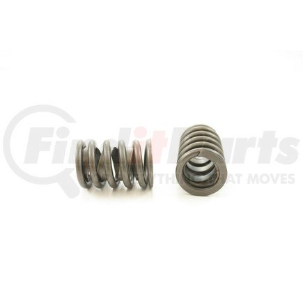 RV1101X4 by PIONEER - VALVE SPRING