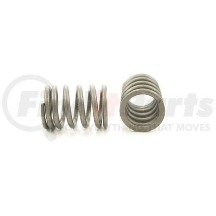 RV11234 by PIONEER - VALVE SPRING