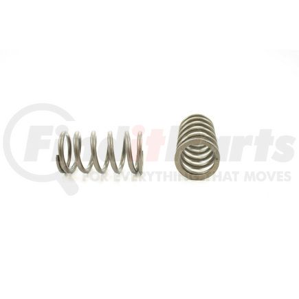 RV11284 by PIONEER - VALVE SPRING