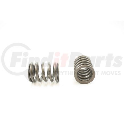 RV1125100 by PIONEER - VALVE SPRING