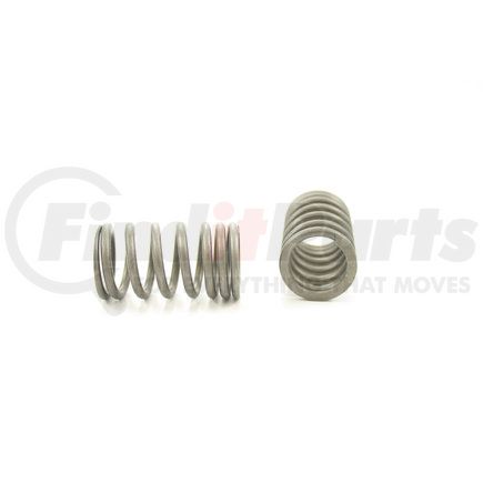 RV1131100 by PIONEER - VALVE SPRING