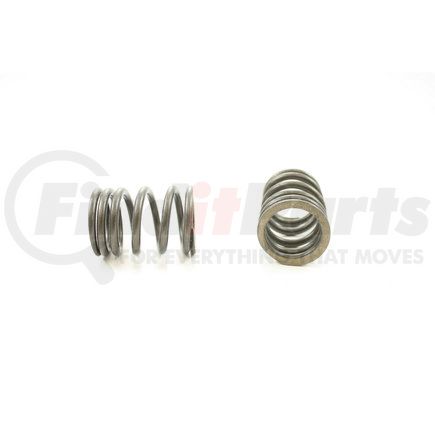 RV1130100 by PIONEER - VALVE SPRING