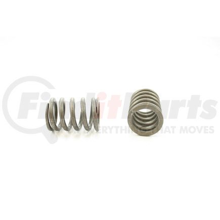 RV11374 by PIONEER - VALVE SPRING