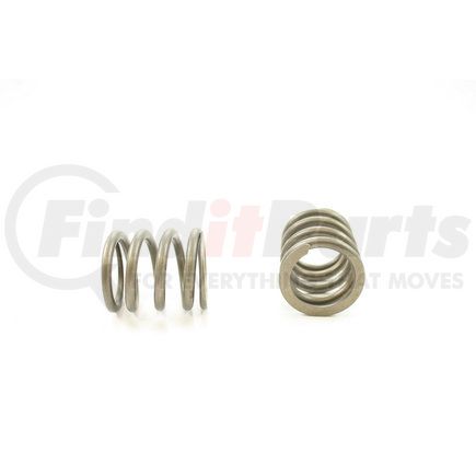 RV11404 by PIONEER - VALVE SPRING