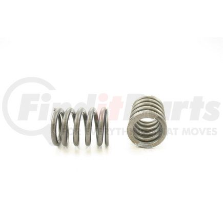 RV1149100 by PIONEER - VALVE SPRING