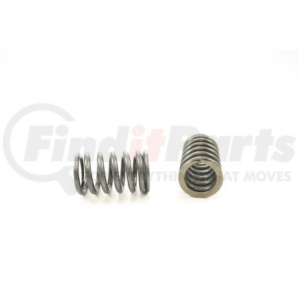 RV11364 by PIONEER - VALVE SPRING