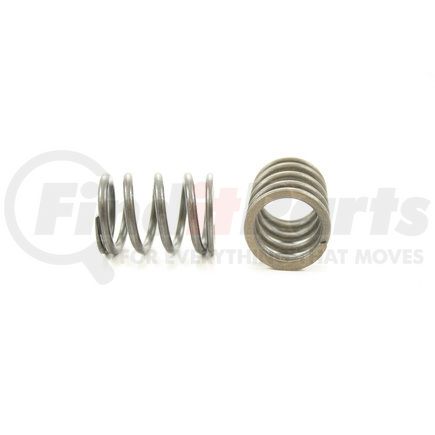 RV11684 by PIONEER - VALVE SPRING