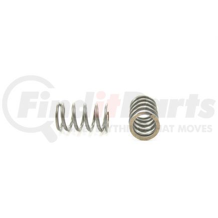 RV11694 by PIONEER - VALVE SPRING