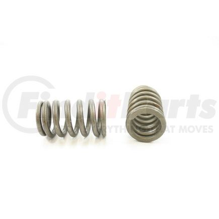 RV1170100 by PIONEER - VALVE SPRING