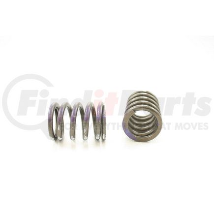 RV1167100 by PIONEER - VALVE SPRING