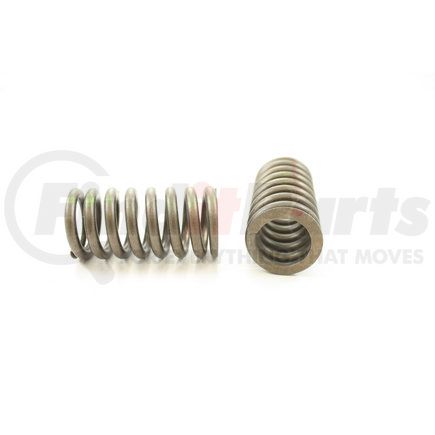 RV1173100 by PIONEER - VALVE SPRING