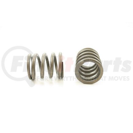 RV1174100 by PIONEER - VALVE SPRING