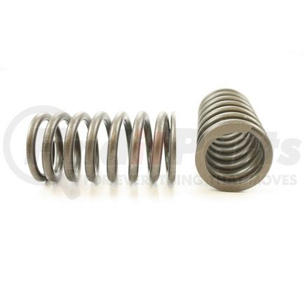 RV1171100 by PIONEER - VALVE SPRING