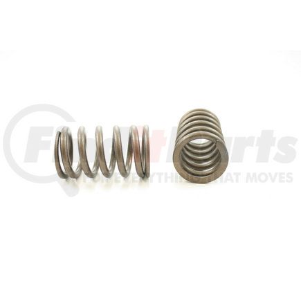 RV1178100 by PIONEER - VALVE SPRING