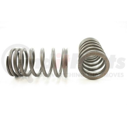 RV1180100 by PIONEER - VALVE SPRING