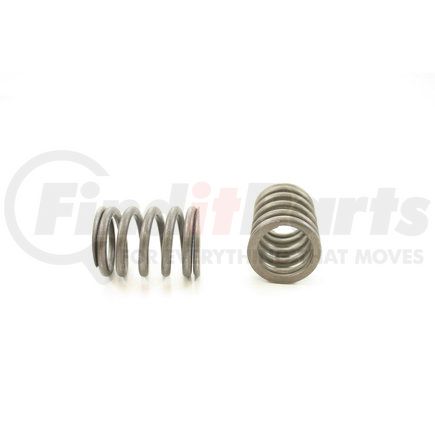 RV11884 by PIONEER - VALVE SPRING