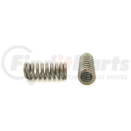 RV1189100 by PIONEER - VALVE SPRING