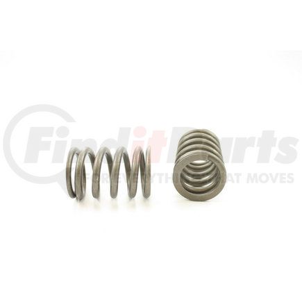 RV1193100 by PIONEER - VALVE SPRING