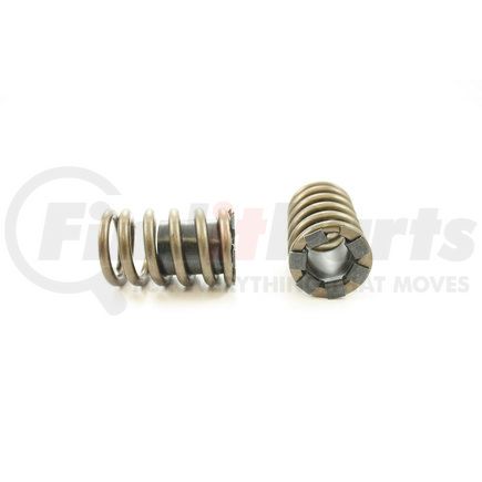 RV1190X100 by PIONEER - VALVE SPRING