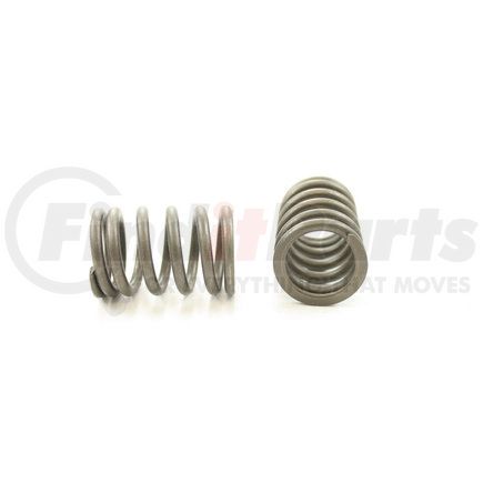 RV11974 by PIONEER - VALVE SPRING