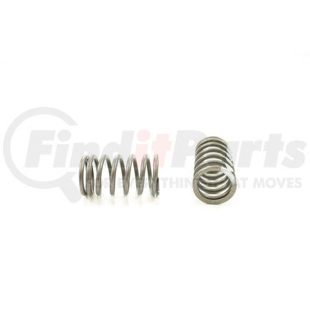 RV1198100 by PIONEER - VALVE SPRING