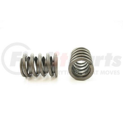 RV1195X100 by PIONEER - VALVE SPRING