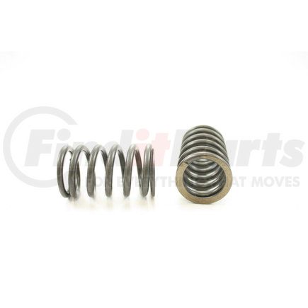 RV1196100 by PIONEER - VALVE SPRING