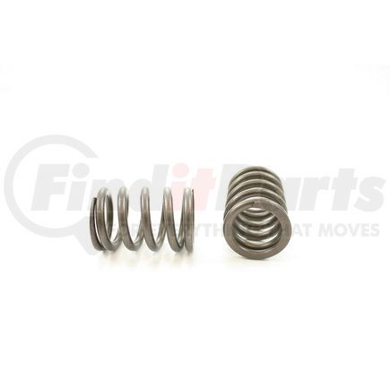 RV1202100 by PIONEER - VALVE SPRING