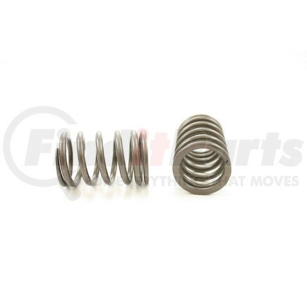 RV11994 by PIONEER - VALVE SPRING